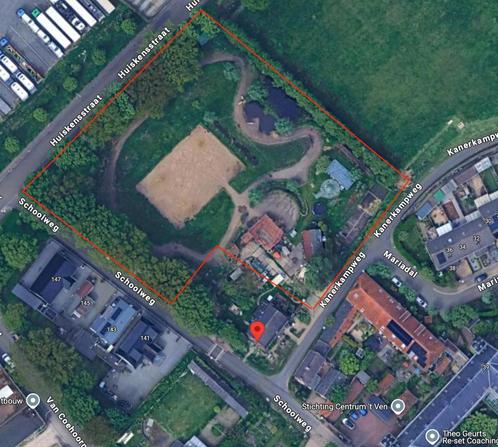 Te huur: Paddock Paradise | Venlo. | 5500m2, Dieren en Toebehoren, Stalling en Weidegang, Stalling, Weidegang, 4 paarden of pony's of meer