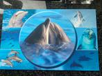 Dolfijnen placemat 2 kanten bedrukt nieuw!, Ophalen of Verzenden, Nieuw