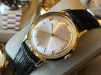 Timex Marlin - Handopwinder - Nieuw! - Jaren 60, Sieraden, Tassen en Uiterlijk, Horloges | Antiek, Overige merken, Staal, Met bandje