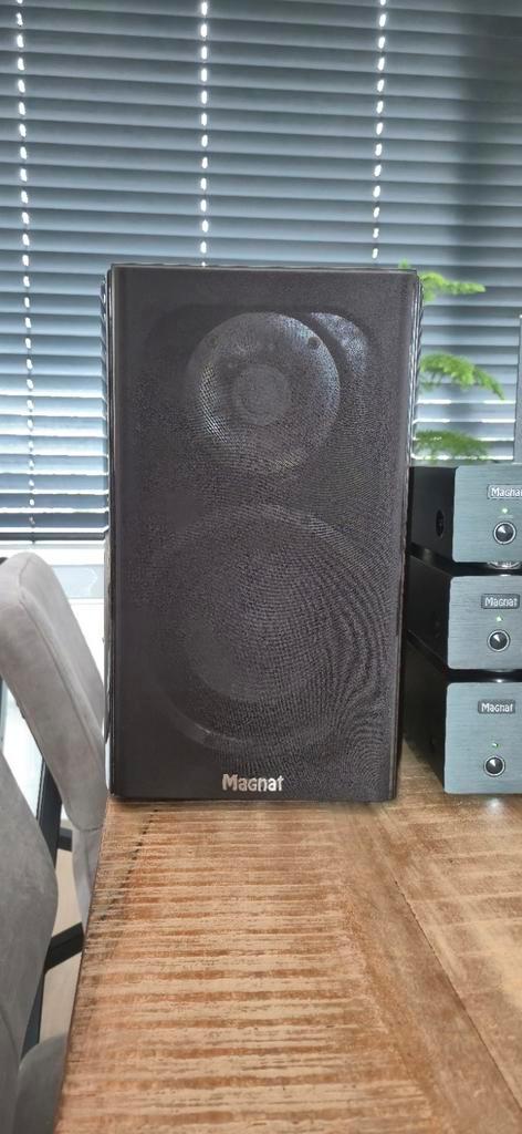 Gewilde Magnat Quantum 1003 147 101 speakers audiofiel, Audio, Tv en Foto, Luidsprekers, Zo goed als nieuw, Front, Rear of Stereo speakers