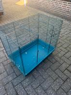 Grote hamer/cavia of vogelkooi, Kooi, Gebruikt, 75 tot 110 cm, Cavia