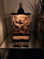 Exo terra 30x30x45, Dieren en Toebehoren, Reptielen en Amfibieën | Toebehoren, Ophalen, Zo goed als nieuw, Terrarium of Paludarium
