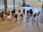 Verzameling Schleich paarden en pony's, Verzamelen, Ophalen of Verzenden, Zo goed als nieuw