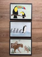 Leuke set ingelijste dierenposters kinderkamer, Ophalen of Verzenden, Zo goed als nieuw, Wanddecoratie