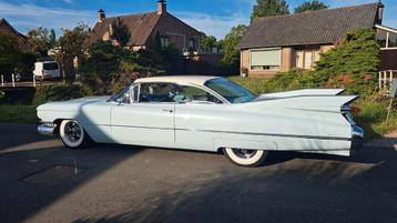 Te koop usa litenplats  nummerplaten emblemen grote verzamel beschikbaar voor biedingen