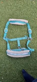 Turquoise halster met bont, maat pony (Harry’s Horse), Ophalen, Gebruikt, Recreatie