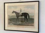 Prachtige oude paardenprent 74x89 cm, Ophalen