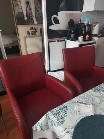 leren stoelen  beschikbaar voor biedingen