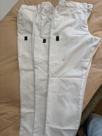Fits Care Witte Broeken Maat L (zorgkleding), Kleding | Dames, Wit, Maat 42/44 (L), Ophalen of Verzenden, Zo goed als nieuw