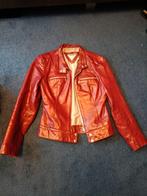 Leren jasje rood 36, Ophalen of Verzenden, Zo goed als nieuw, Maat 36 (S), Rood