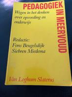 Pedagogiek in Meervoud, Ophalen of Verzenden, Gamma, Gelezen, HBO
