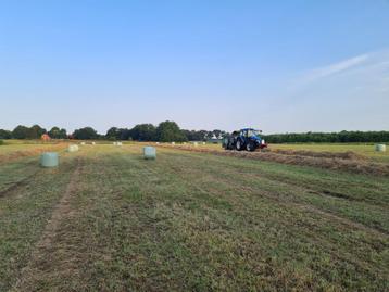 Midi hooibalen, natuurhooi beschikbaar voor biedingen