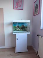 Aquarium, Ophalen of Verzenden, Gebruikt, Leeg aquarium