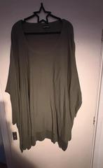 Reinders trui groen, Reinders, Maat 42/44 (L), Ophalen of Verzenden, Zo goed als nieuw