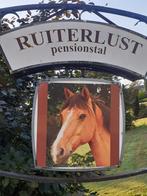 Pensionstalruiterlust, Ophalen of Verzenden, Zo goed als nieuw, Overige soorten