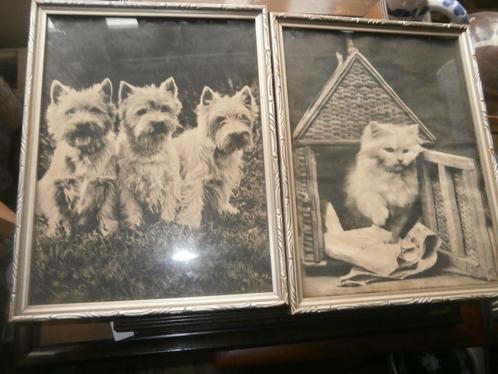 2 Leuke prenten van Honden en poesjes, Verzamelen, Foto's en Prenten, Gebruikt, Overige onderwerpen, Voor 1940, Ophalen