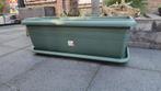 Linea Cypress Green Grote Bloembak!, Tuin en Terras, Bloembakken en Plantenbakken, Ophalen, Nieuw, 60 tot 100 cm, Rechthoekig