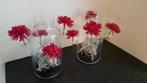 2 glazen vazen met decoratie, Huis en Inrichting, Woonaccessoires | Vazen, Minder dan 50 cm, Glas, Zo goed als nieuw, Ophalen