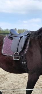 Hidalgo Venice Special dressuurzadel, Dieren en Toebehoren, Paarden en Pony's | Zadels, Zo goed als nieuw, Dressuur, Ophalen