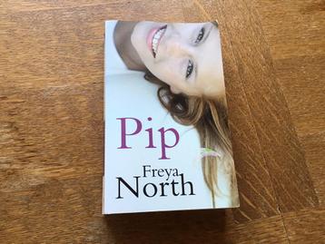 PIP roman van Freya North  beschikbaar voor biedingen