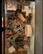 Terrarium, Dieren en Toebehoren, Ophalen, 110 cm of meer, 60 tot 90 cm, Hamster