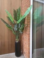 Kunstplant 180 cm + pot, Ophalen