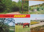 Groeten uit Ouddorp - Zuid Holland - nieuw, Verzenden, 1980 tot heden, Ongelopen, Zuid-Holland