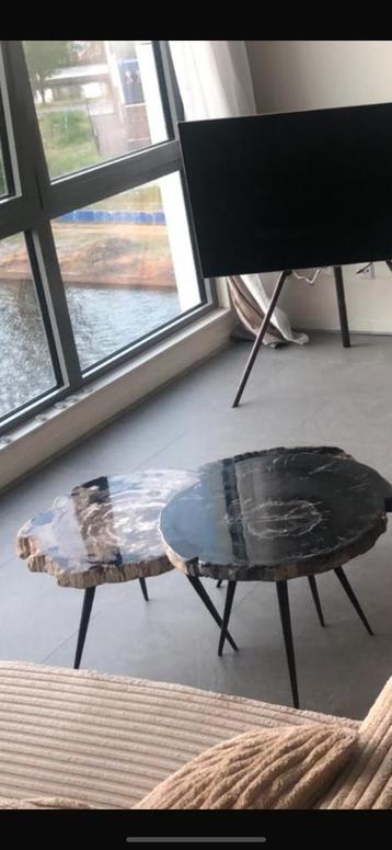 Versteend houten salontafels beschikbaar voor biedingen