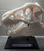 T-Rex schedel, Ophalen of Verzenden, Nieuw, Dier