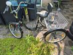 3 wheel bike / Trike, Fietsen en Brommers, Fietsen | Driewielfietsen, Ophalen, Zo goed als nieuw