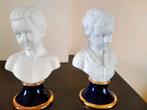 Buste, Verzamelen, Beelden en Beeldjes, Ophalen of Verzenden, Zo goed als nieuw, Dier