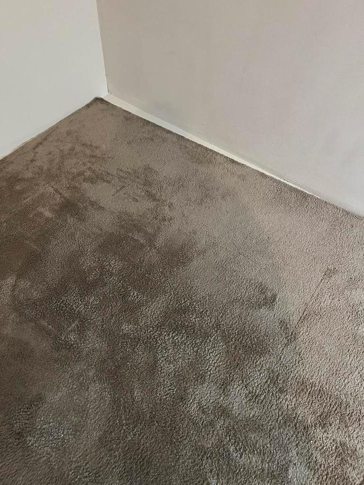 Taupe Vloerkleed - Sfeervol & Comfortabel, Huis en Inrichting, Stoffering | Tapijten en Kleden, Gebruikt, 150 tot 200 cm, 200 cm of meer