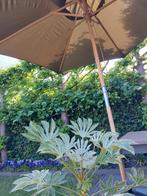 Parasol met houten frame, groen of taupe, nieuw!, Ophalen, Nieuw, Stokparasol