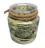 DECO GLAS BOTTLE FLORA 310 GREEN NIEUW, Ophalen of Verzenden