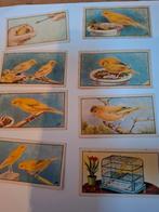 Vintage Kanarie Albumplaatjes, Ophalen of Verzenden