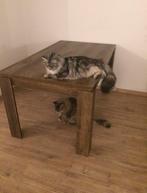 Bruin Dressoir met Eethoek + tv meubel- Gebruikt, Gebruikt, 100 tot 150 cm, Ophalen of Verzenden, Met lade(s)