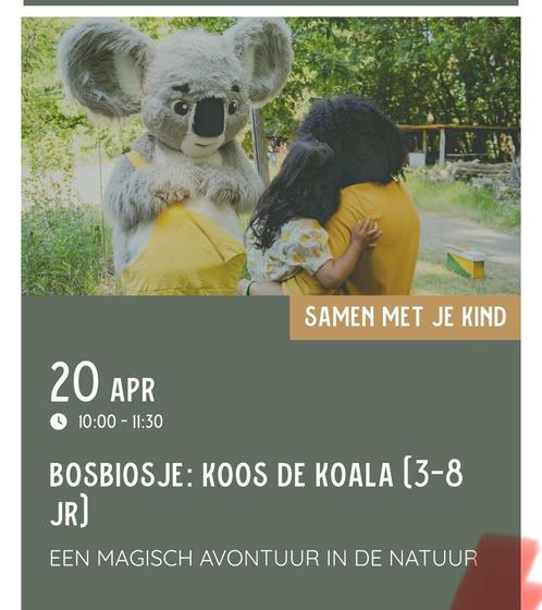 Dagje uit met de kids! Koos Koala Bios Openlucht!, Tickets en Kaartjes, Evenementen en Festivals, Drie personen of meer