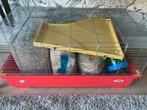 Hamsterkooi, Dieren en Toebehoren, Minder dan 60 cm, Kooi, Ophalen of Verzenden, Zo goed als nieuw