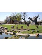 Blijdorp tickets, Eén persoon, Ticket of Toegangskaart