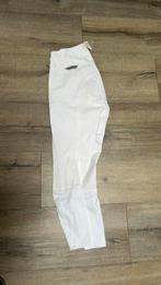 Kentucky wedstrijd broek maat 42, Dieren en Toebehoren, Paardrijkleding, Dressuur, Nieuw, Ophalen of Verzenden, Dames