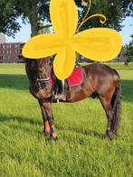 Set maat full, Ophalen of Verzenden, Gebruikt