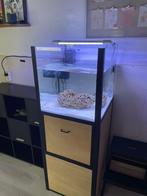 Zeeaquarium 70L, Dieren en Toebehoren, Vissen | Aquaria en Toebehoren, Ophalen, Gevuld zeewateraquarium
