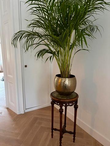 Antiek plantentafeltje, antieke plantenzuil beschikbaar voor biedingen