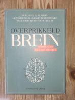 Te koop boek Charlotte labee overprikkeld brein, Ophalen, Charlotte Labee, Nieuw, Cognitieve psychologie