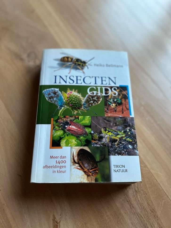 Insectendgids - Heiko Bellman, Boeken, Natuur, Zo goed als nieuw, Ophalen of Verzenden