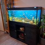 aquarium / terrarium  210 liter tegen elk aan nemelijk bod, Ophalen of Verzenden, Zo goed als nieuw, Leeg aquarium