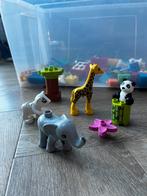 LEGO DUPLO babydieren - 10904, Ophalen of Verzenden, Zo goed als nieuw, Duplo