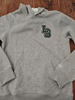 Nieuw Levi's!, Trui of Vest, Nieuw, Ophalen of Verzenden, Levi's