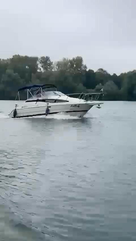 Bayliner 2655 – goed uitgerust, 5 slaapplaatsen, vaarklaar!, Watersport en Boten, Motorboten en Motorjachten, Gebruikt, Polyester