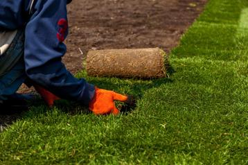 GAZON-ZODEN Vandaag GRASZODEN leggen? op rol per2 € 4,50 beschikbaar voor biedingen